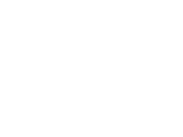 타람 타람 타람