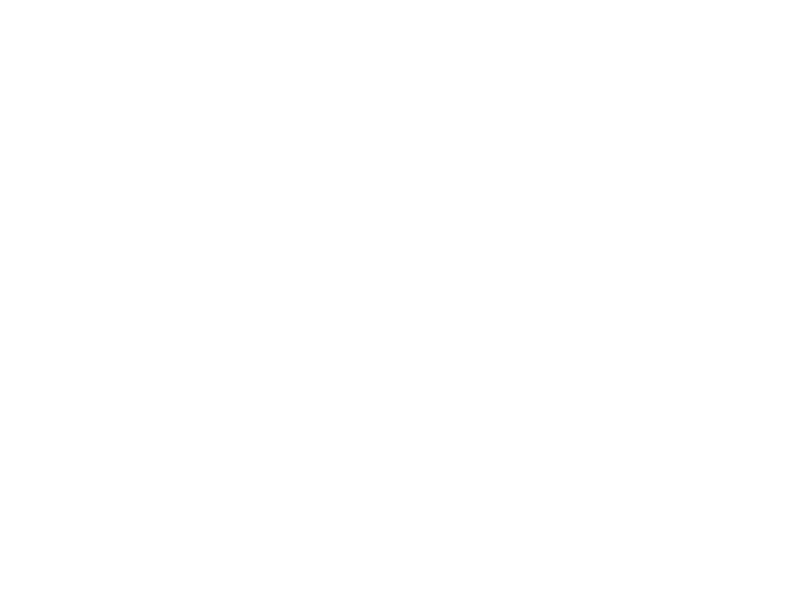 아카데미의 천재 테이머