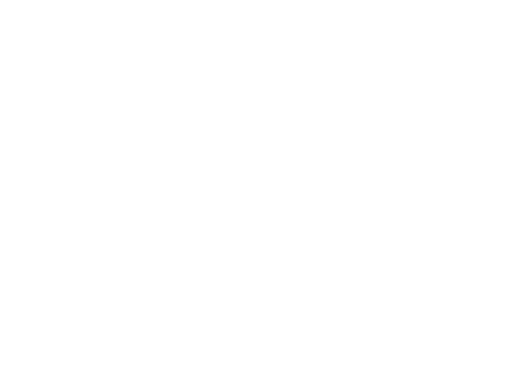 사장님의 특별지시