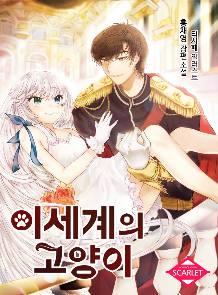 홍채영