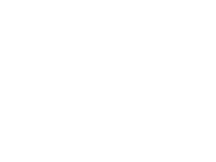 드래곤 라자[단행본]