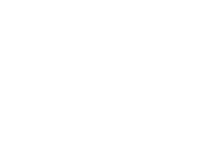 눈물을 마시는 새